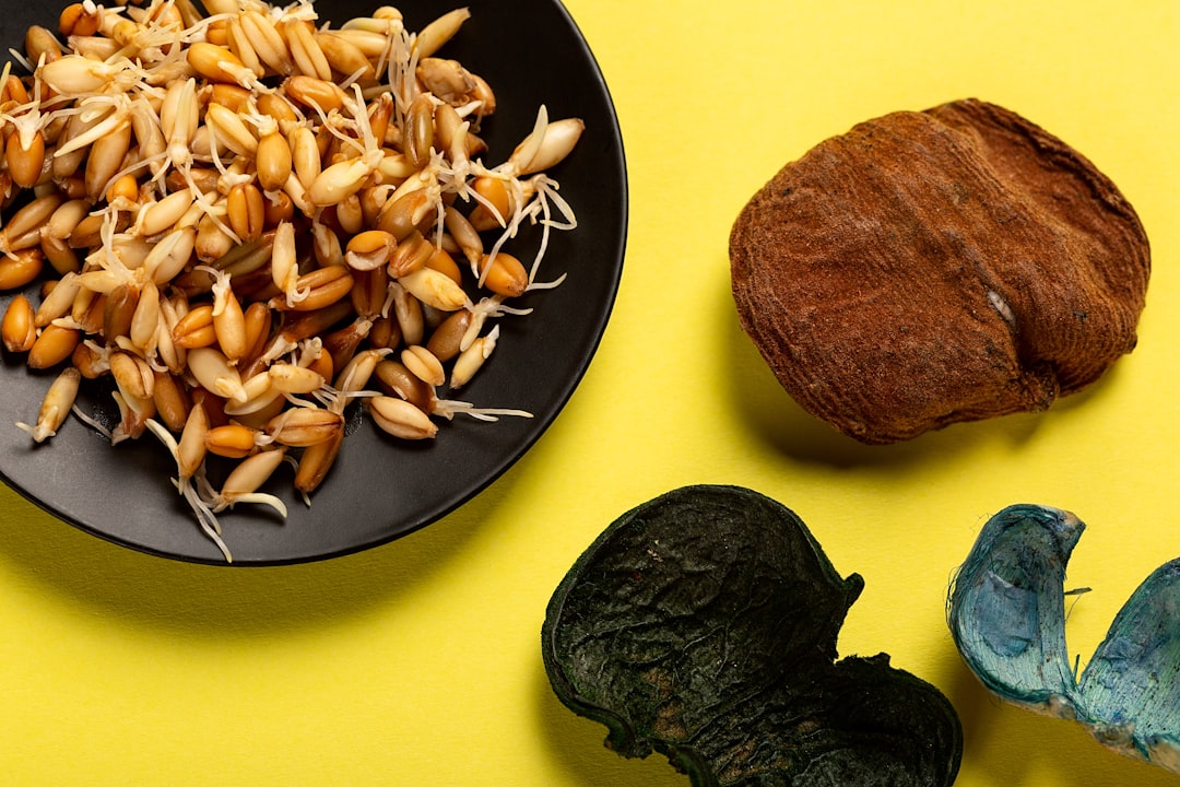 Castanha de caju: calorias por porção, benefícios e por que controlar a quantidade